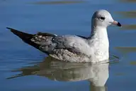 175062