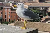 175090