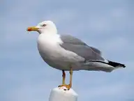 175105