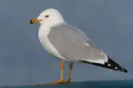 175120