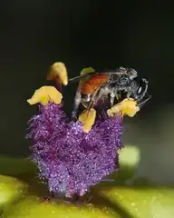 175206