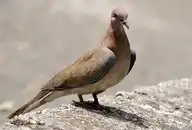 175379