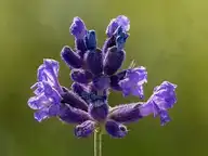 175543