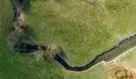 176449
