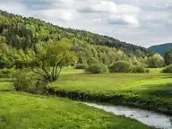 176555