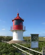 176596