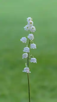 176622