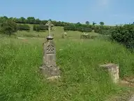 176629