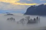 177925
