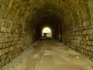 17799