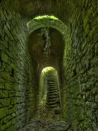 17977