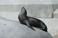 180741