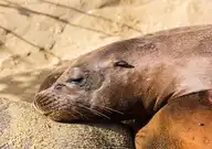 180745