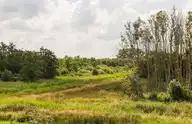 180802