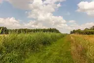 180803