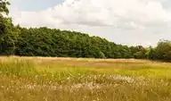 180871