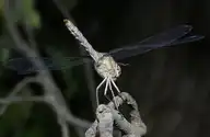 18158