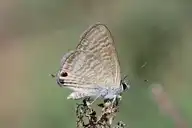 182094