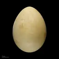 182271