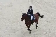 18309