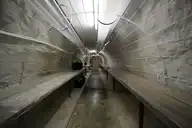 183204
