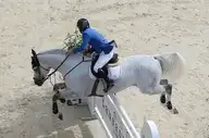 18343
