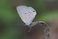 183506
