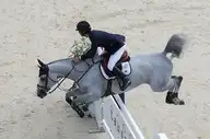 18394