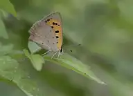 183971