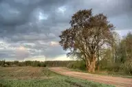 185331