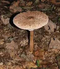 185761