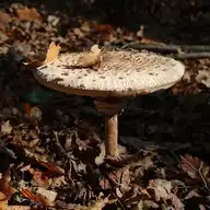 185763