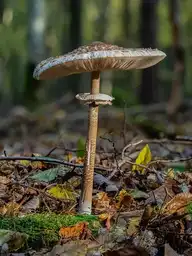 185768