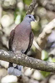 187187