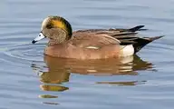 187332