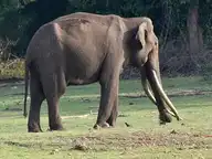 187341