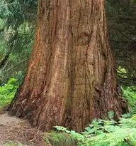 187907