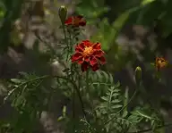 190589