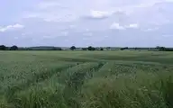 191391