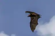 192236