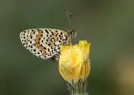 193269