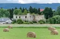 19553