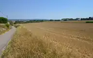 198532