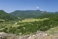 19996