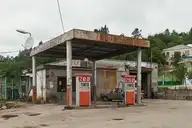 20029