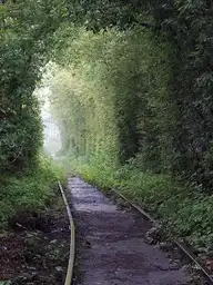 200538