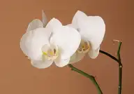 200772