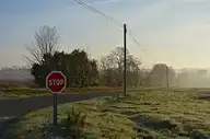 201291