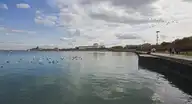 201715