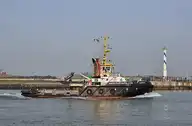 202007